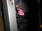DSC00886.JPG